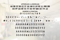 Garage Vintage Product Image 7