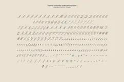 Sorel Lyrical Signature Script Font Product Image 7