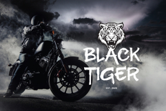 Gejiro Brush - Handwritten Logo Font Product Image 6