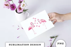 Watercolor Flamingo Sublimation Downloads Product Image 7