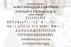 Happy Holiday Product Image 7