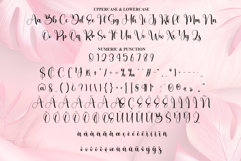 Hey Barbie Product Image 7