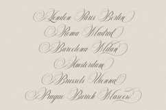 Delighton Script Product Image 7