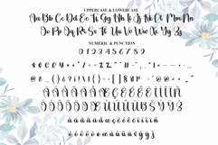 Delight Product Image 7