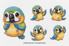 15 Bundle Watercolor Colorful Baby Parrot Cute Bird Macaw Product Image 7