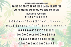 Summer Series Product Image 7