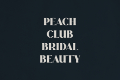 Veloura Serif Font Elegant Type Product Image 7