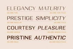 Deloire - Modern &amp; Luxury Sans Product Image 7