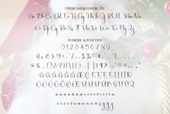 Santa Product Image 7