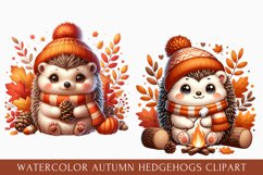 watercolor autumn hedgehog clipart, autumn hedgehog Clipart Product Image 1