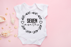 Baby Month Round SVG Bundle Product Image 8