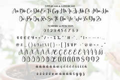 Staylive Product Image 7