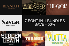 The Ultimate Modern Display &amp; Serif Font Bundle - 7 Typeface Product Image 1