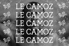 Marzena Display Font Product Image 7