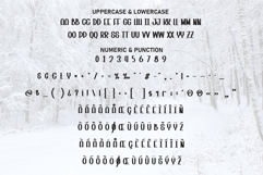 Snow Winter Product Image 7