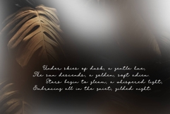 Xana Rosita Cyrillic Font Product Image 7