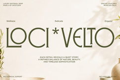 Veloster - Logo Serif Branding Font Product Image 7