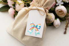 Rainbow Cloudy Sky Coquette Bow Clipart Product Image 7