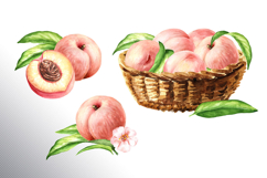 Ripe Peaches Product Image 8
