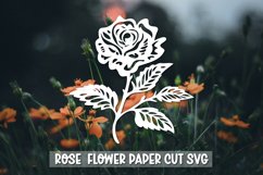20 Rose Flower SVG I Rose Flower Vinyl Decal, Paper Cut Rose Product Image 8