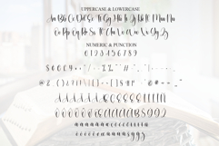 Scripture Product Image 7