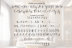 Prestige Product Image 7