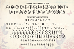 Vintage Product Image 7