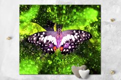 Mystic Butterfly | skinny tumbler Sublimation design bundle Product Image 7