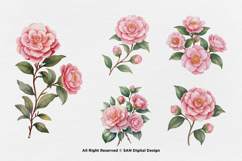 15 Bundle Watercolor Camelia Flower Pink Botanical Japanese Product Image 7