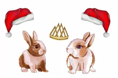 Christmas Animals Clipart, Christmas Clipart Sublimation png Product Image 6