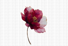 12 Burgundy Red and Gold Flowers PNG Product Image 11