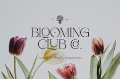 Crosela Font Duo Product Image 7