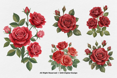 15 Bundle Watercolor Red Rose Romantic Floral Flower Elegant Product Image 7