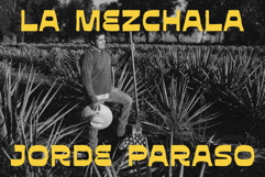 Mezicola Display Font Product Image 7