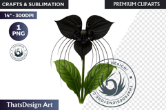 Flower Clipart PNG, Botanical Illustration Floral graphic Product Image 1