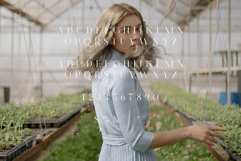 Royal Garden - Unique Semi Serif Product Image 7