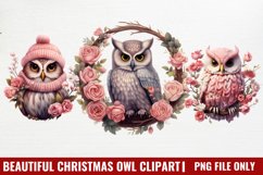 Beautiful Christmas Set Clipart Product Image 1