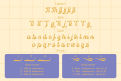 Thick Dream | Retro Script Product Image 7