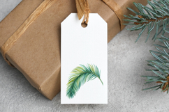 Tropical Leaves PNG, Watercolor Tropical Leaf Clipart Bundle Product Image 6