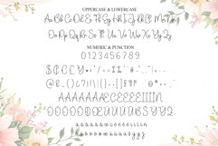 Welcome Product Image 7