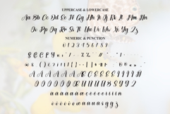 Butterfly Product Image 7