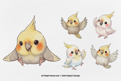 15 Bundle Watercolor Cute Baby Parrot Bird Macaw Parakeet Product Image 7