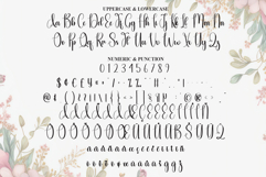 Advantage Product Image 7