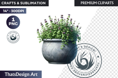 Medicinal Herbs clipart PNG, Apothecary Botanical Graphic Product Image 1