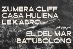 Barviera Font Duo Product Image 7