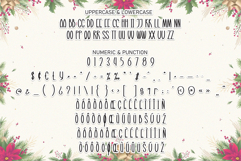 Wonder Christmas Product Image 7