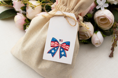 USA Patriotic Coquette Bow Clipart, USA patriotic bow Product Image 6