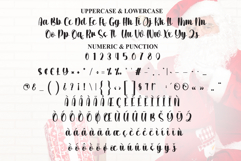 Santa Delight Product Image 7