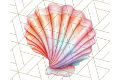 Natural Seashell Clipart PNG, Summer Nautical Beach Shell Product Image 3