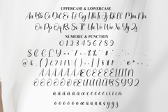 Another Product Image 7